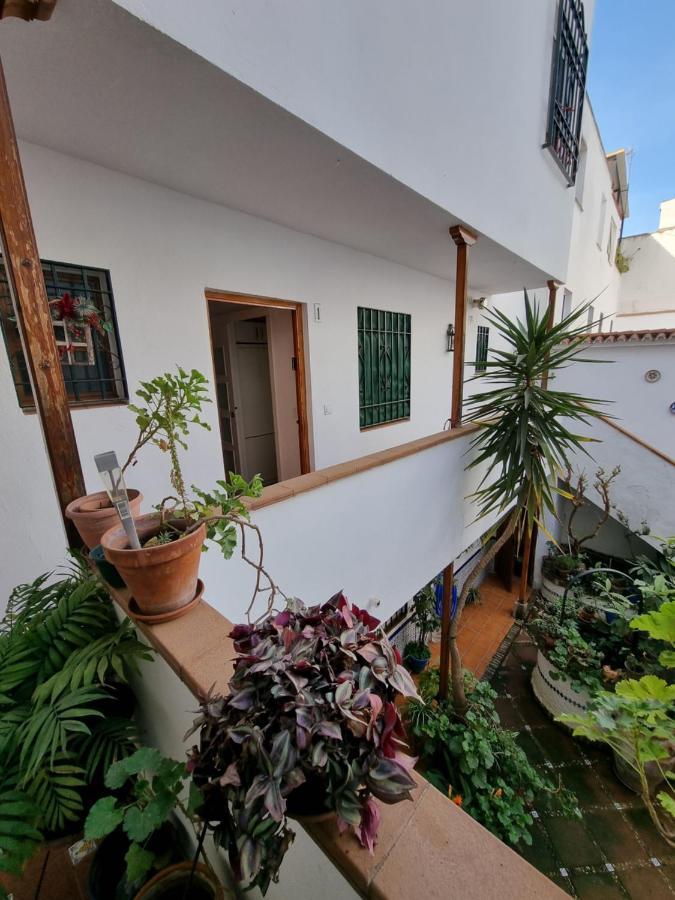Apartamentos En Patio Cordobes San Basilio Córdoba Kültér fotó